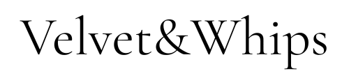 velvetandwhips.com